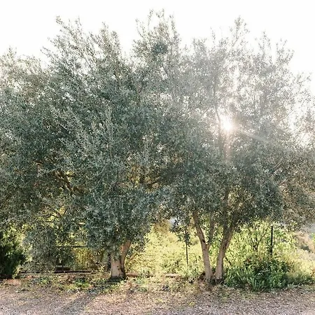 Cozy Mountain View House Near Olympos & Adrasan * Kumluca