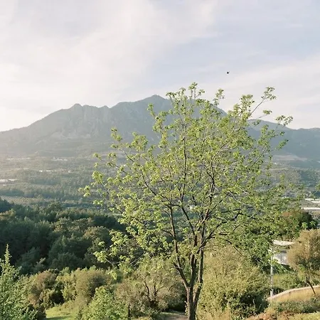 Cozy Mountain View House Near Olympos & Adrasan 아파트 Kumluca