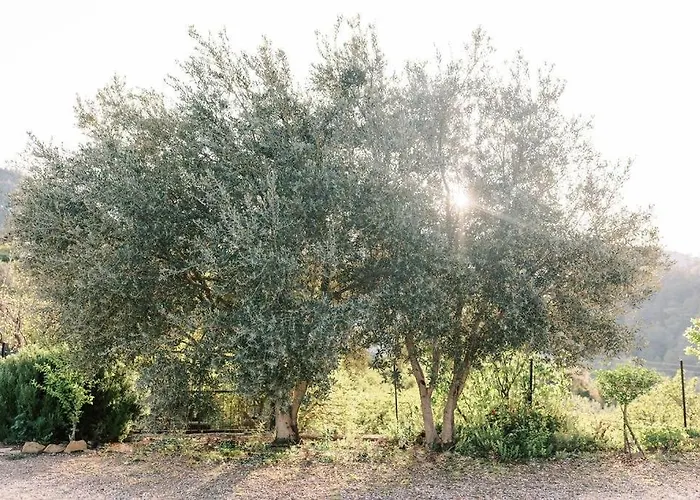 Cozy Mountain View House Near Olympos & Adrasan * Kumluca